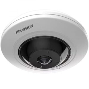 Fisheye camera
